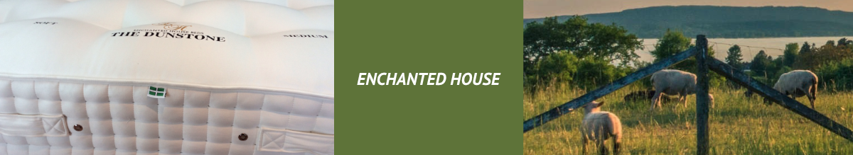 Enchanted House Banner