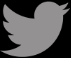 Twitter Logo