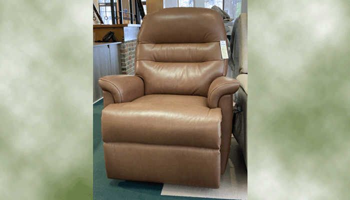 Riser Recliner Chair With Cloud Comfort